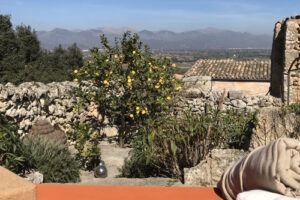 YIN Yoga Open Air | Ses Coves