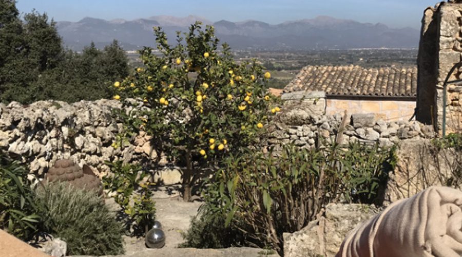 YIN Yoga Open Air | Ses Coves